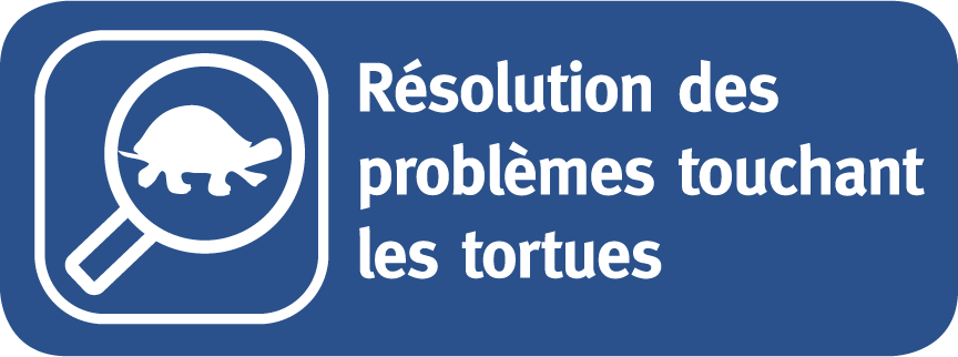 RÉSOLUTION DES PROBLÈMES TOUCHANT LES TORTUES