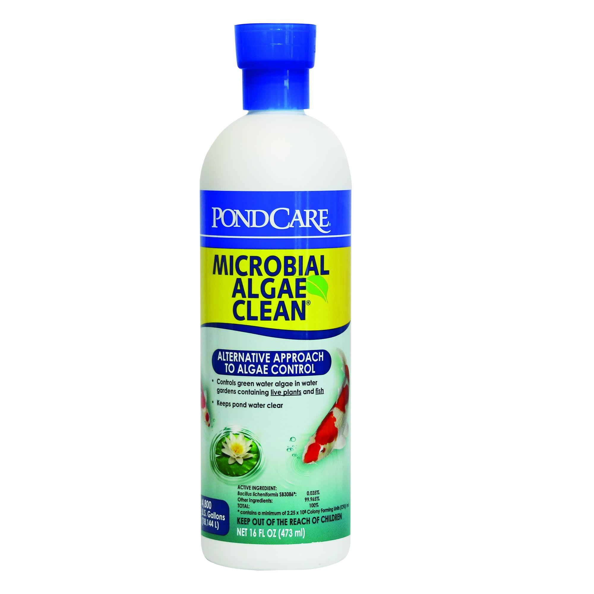 API Microbial Algae Clean bottle